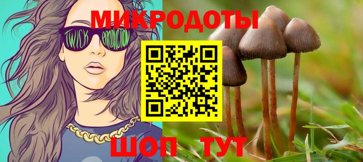 Псилоцибиновые грибы MAGIC MUSHROOMS  Вход с VPN  Тосно 